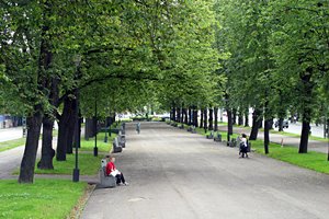 エストニアの並木通り