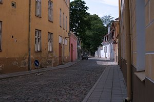 木陰へと向かう道