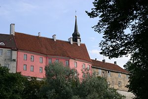 山の手タリンを見上げる