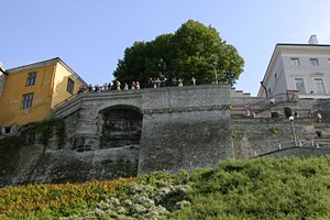 上の人と下の人