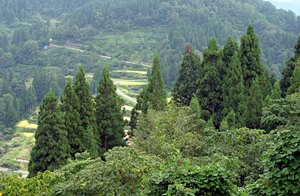 山深く秋がやってくる