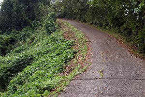 松代城へと続く道