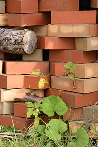 積レンガと緑の葉