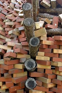 並んで、並んで