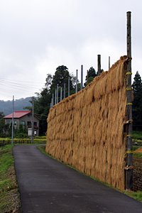 雨上がりの農村