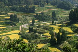 棚田のある景色