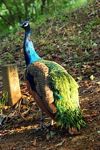 給水管とわたし