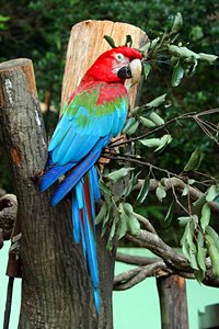 ちょっと気取って