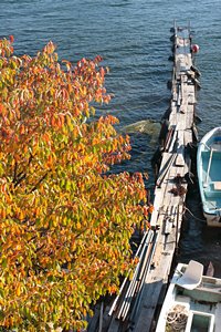 落葉の船着き場