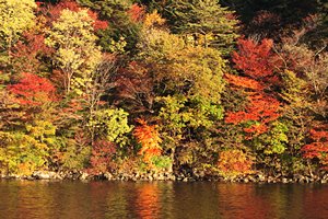 錦秋の中禅寺湖畔