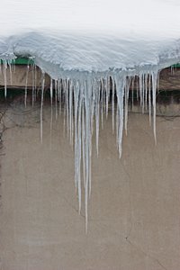 とっきんとっきん