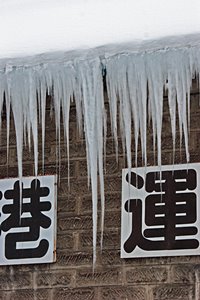 逆さまの背比べ