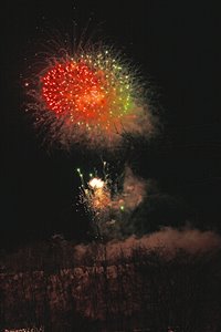 雪中に咲く彼岸花