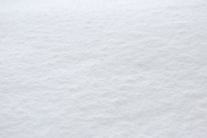 パウダースノー