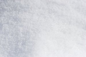 パウダースノー・シャイン