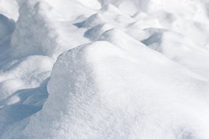 小さなモンスター