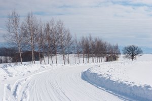 丘の雪道