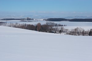 林を越えて白い世界へ