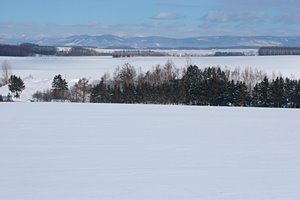 白銀の大地