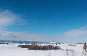 雪の美瑛
