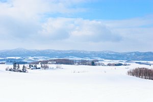 北海道冬物語