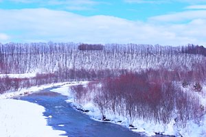 北国の川