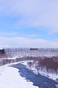 空の青と清水の青