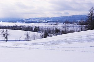 雪に描いた幾何学模様