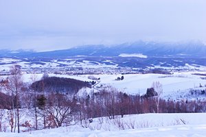 上富良野雪景