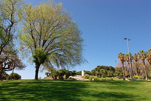 モンジュイックの丘にて