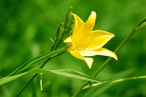 ヒロインはわたし