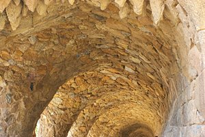 恐竜に食べられたら