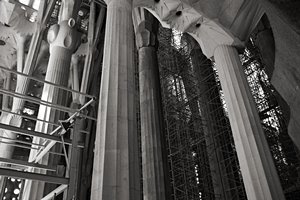 時を超えた出会い