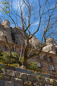 岩山と古風な壁と木