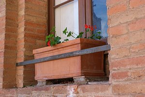 窓辺のプランタン