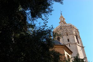 木陰から見上げた教会