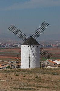 乾燥した大地との対話（ポートレート）