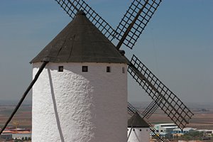 腕と帽子としっぽ