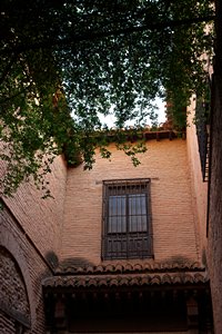 パティオから見た天上（ポートレート）