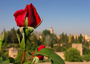 アルハンブラの思い出