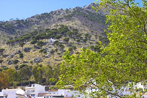 ミハスを守る教会