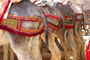 セクシーヒップ