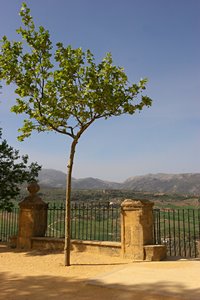 その景色の向こう