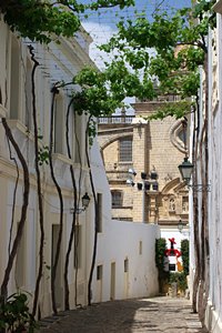 ティオペペ・ストリート