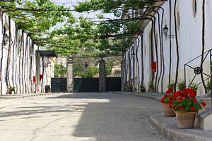 ワイン倉庫にて