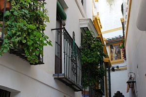 小さな空間の絵画