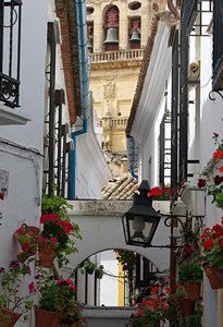 カテドラルと花咲く路地
