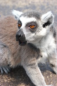 あ、エサだ！！