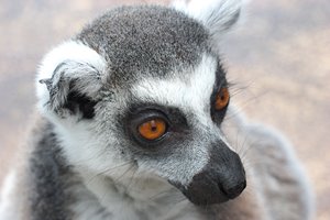 えっエサだって！？