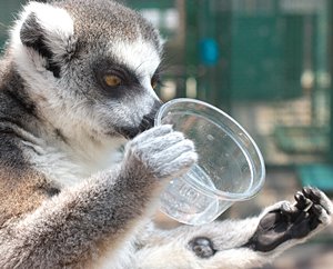 おかしいなぁ、ちゃんとあったのに